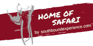 Home of Safari - Southboundexperience